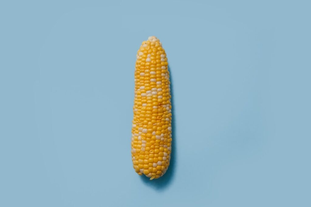 Photo Corn chowder