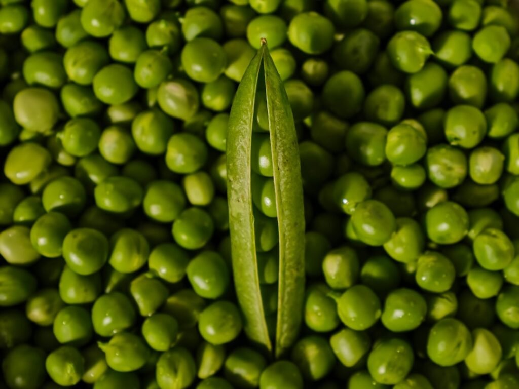 Photo Fresh peas